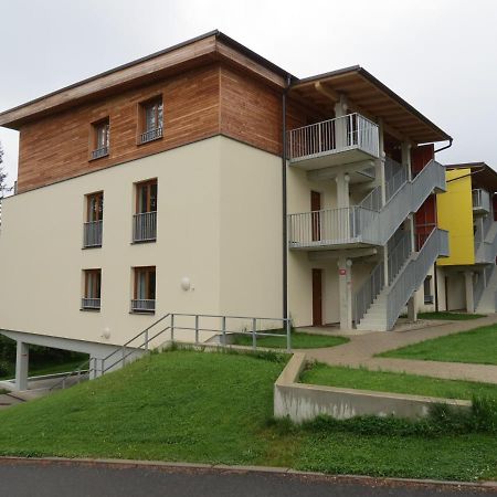 Family Apartment Lipno Lake Lipno nad Vltavou Eksteriør billede