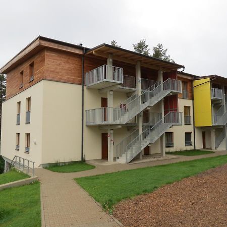 Family Apartment Lipno Lake Lipno nad Vltavou Eksteriør billede